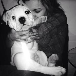 Meet your Posher, Nora